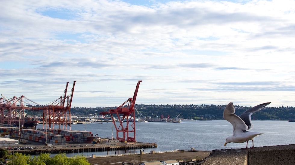 Seattle in the Spotlight March 29th - April 4th, 2019