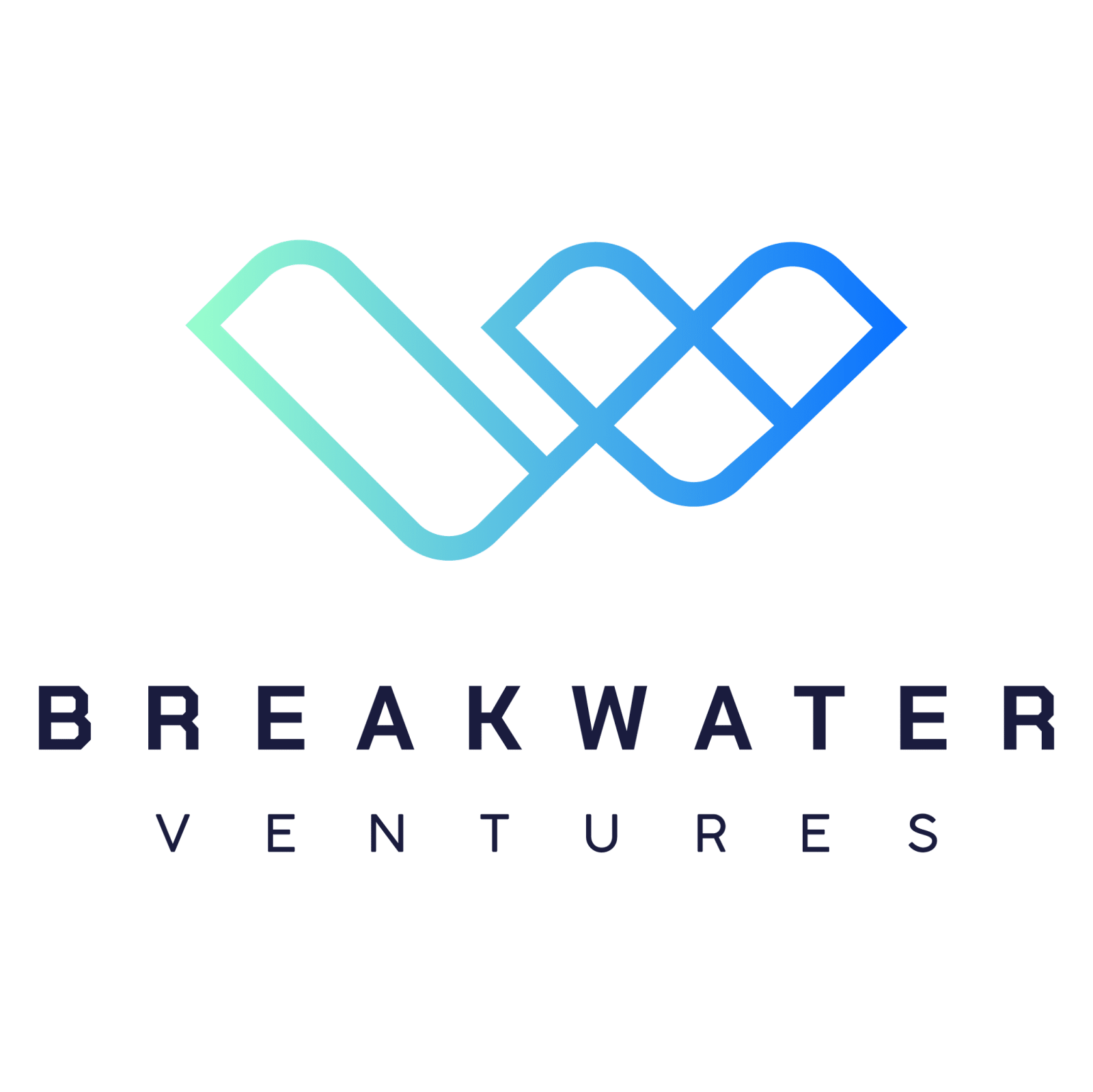 Breakwater Ventures Color